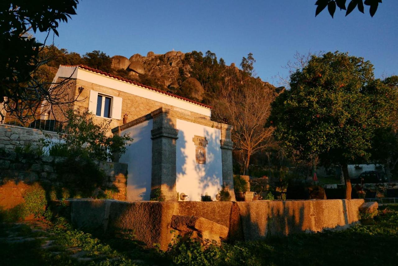 Quinta De Sao Pedro De Vir-A-Corca Em Monsanto Bed & Breakfast Ngoại thất bức ảnh