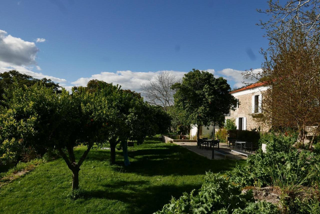 Quinta De Sao Pedro De Vir-A-Corca Em Monsanto Bed & Breakfast Ngoại thất bức ảnh