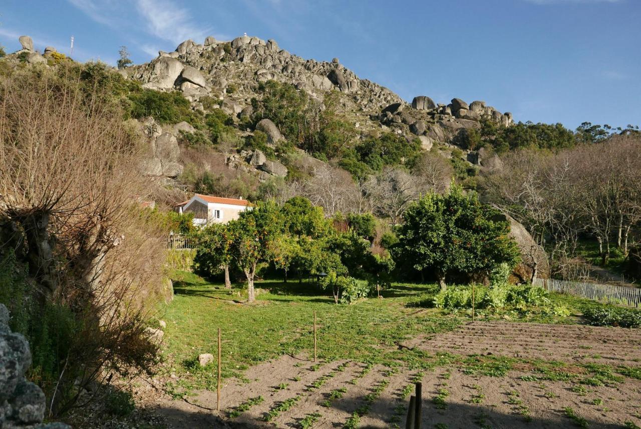 Quinta De Sao Pedro De Vir-A-Corca Em Monsanto Bed & Breakfast Ngoại thất bức ảnh