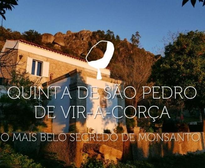 Quinta De Sao Pedro De Vir-A-Corca Em Monsanto Bed & Breakfast Ngoại thất bức ảnh